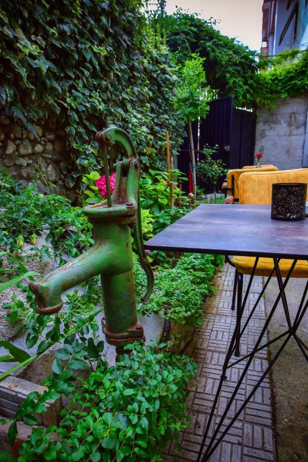 12 B&B Σκόδρα Εξωτερικό φωτογραφία
